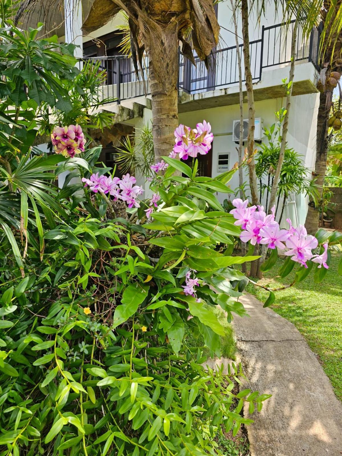 Bed and Breakfast Optimum Residencies Negombo Exterior foto