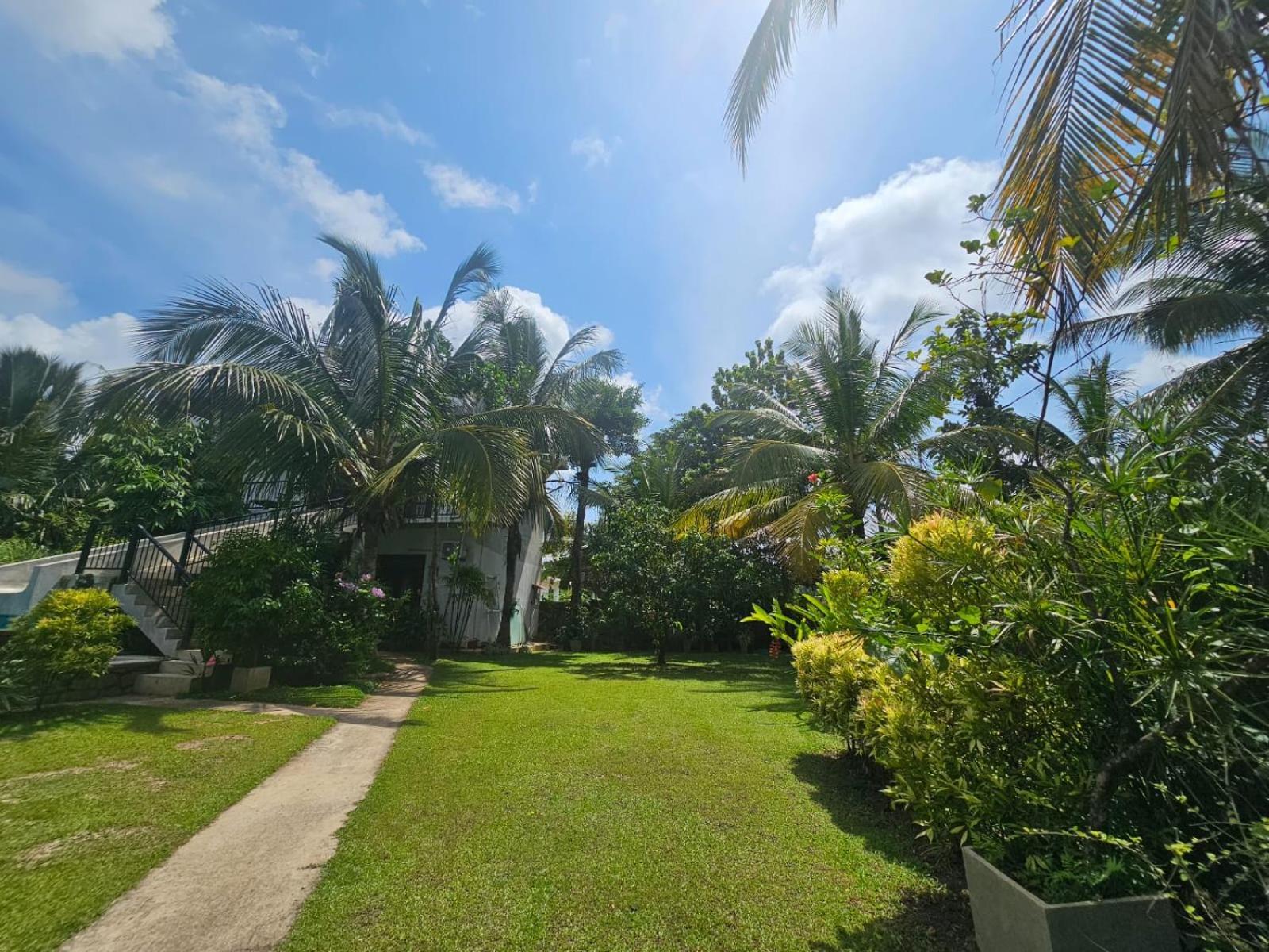 Bed and Breakfast Optimum Residencies Negombo Exterior foto