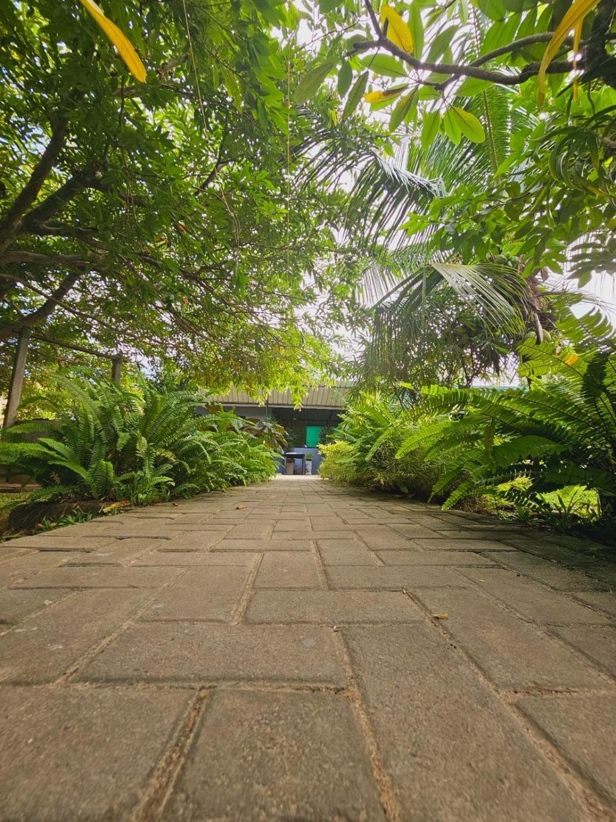 Bed and Breakfast Optimum Residencies Negombo Exterior foto
